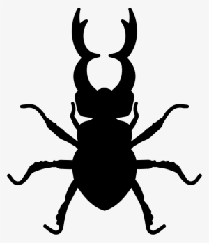 Png File - Stag Beetle Icon