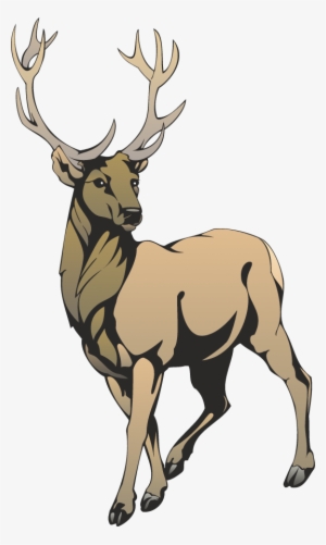 Stag - Stag Images Clip Art