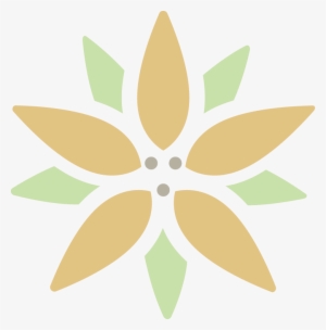 Msc Logo Simple