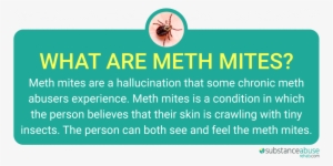 Meth Mites And Meth Sores- The Dangers Of Meth Abuse - Methamphetamine