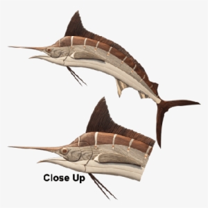Intarsia Woodworking Pattern Of A Marlin - Intarsia Swordfish