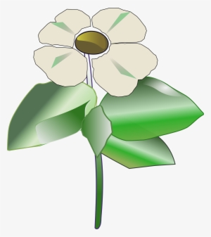 This Free Icons Png Design Of Pacific Dogwood