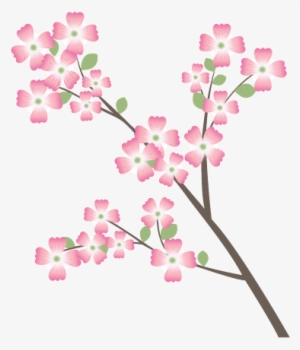 Dogwood - Cherry Blossom