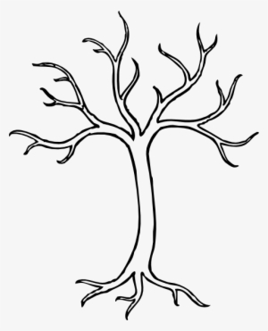 Dogwood Tree Drawing - Drawing Of Tree Without Leaves