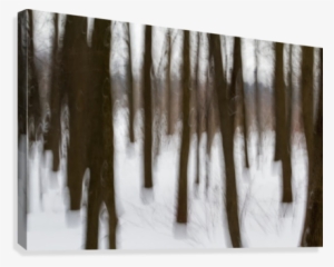 Motion Blur Of Trees - Icicle