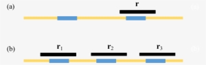 Illustration Of A Bridged Repeat In S - Vektorrechnung