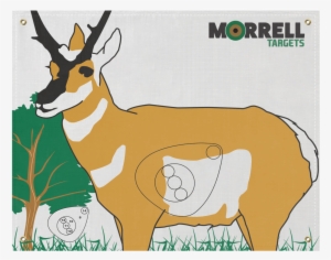 Antelope Polypropylene Archery Target Face - Morrell Targets Polypropylene Archery Target Face,