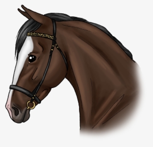 Molly - Stallion