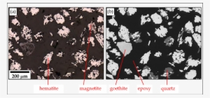 Images Of An Iron Ore Sample Acquired On Reflected - Reflected Light Microscope Vs Sem
