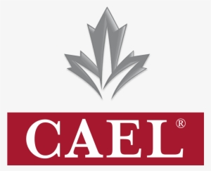 Cael Assessment Test Takers Preparation Guide