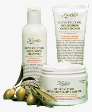 Restores Dehydrated, Damaged Hair - Kiehl's Nourishing Olive Fruit Oil Conditioner, 500ml
