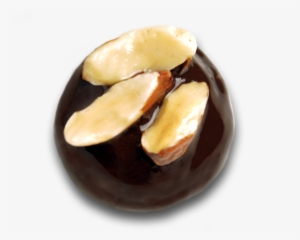 Chocolate Almond Date Truffle - Chocolate