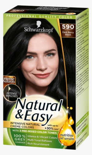 Natural Easy Com Black Hair 590 Dark Berry Black - Schwarzkopf Natural & Easy 580