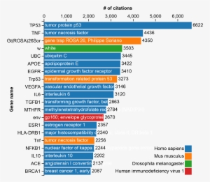 20 Most Cited Genes - Most Common Genetic Disorders Graph
