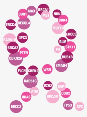 Breast Cancer Genetic Testing, Genes, Genetic Testing, - Cancer Genetic Testing