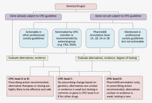 Considerations For Assignment Of Cpic Level For Genes/drugs - Level Of Prioritization