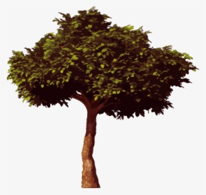 Tree - Effect Of Trees On Environment