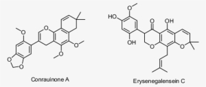 Respresentative Examples Of Bio Active Chrom