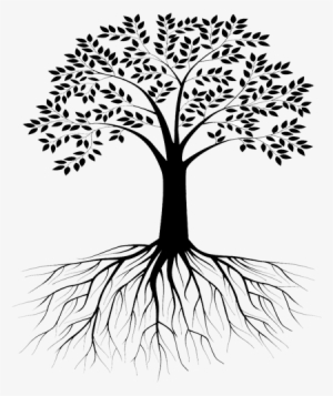 Ask - Archive - Menu - Jaden Smith - Tree With Roots Silhouette