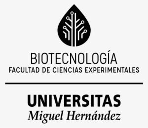 Articulación Principal En Una Tinta Png - Universidad Miguel Hernández De Elche