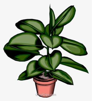 Potted Plant - Plant Clip Art