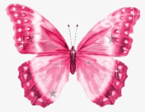 Pink Butterfly PNG & Download Transparent Pink Butterfly PNG Images for  Free - NicePNG