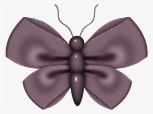 Album - Lepidoptera