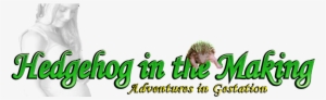 Hedgehog In The Making - Pregnancy