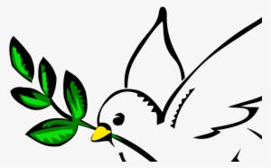 Por Qué La Paloma Es Símbolo Universal De La Paz - Peace Dove
