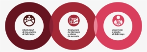 Realizamos Proyectos Enfocados A - Circle