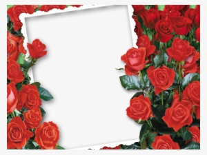 Molduras De Flores Rosas ♥ - Red Roses