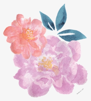Watercolour Peony - Image - Watercolor Painting