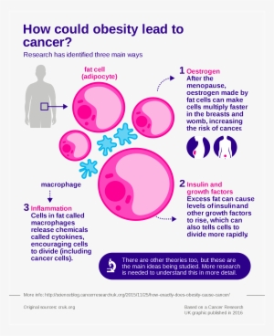 Open - Cancer Research Uk Obesity