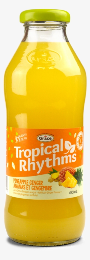 Ingredients - - Grace Tropical Rythms Pineapple Ginger Drink