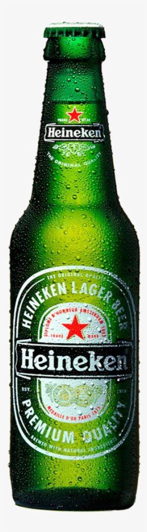 Si Quieres Conocerlas Mejor Haz Click Sobre Ellas Cerveza - Heineken Lager - 12 Fl Oz Bottle