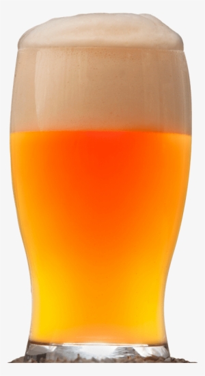 Cerveza Artesana Ecológica - Beer Glass