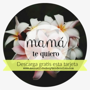 Día De La Madre