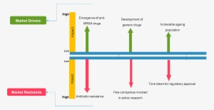 Market Segmentation Insights For The Antibiotics Market - Recombinant Dna