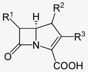 General Structure Of Carbapenems