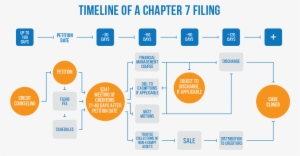 Illustration Of Chapter 7 Bankruptcy Timeline - Some Changes In My Life