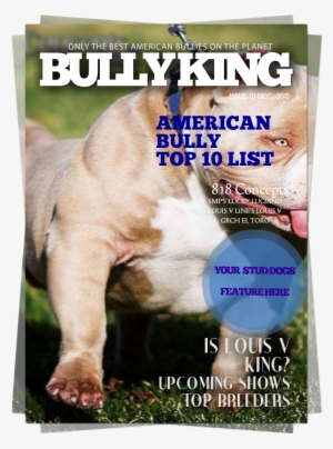 Buy Bully King Year Subscription Now - Pregadores Da Palavra De Deus