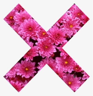 X X Cross Flower Pink Girly Pink Nature Collor Tumblr