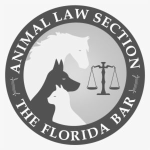2641 Animal Law In Florida 2018 Dvd - Lights On A Zebra Crossing