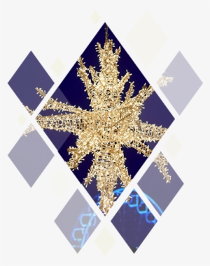 Tern Lys1 - Motif