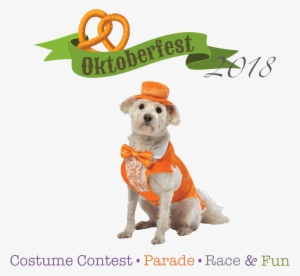 Join Us For The Oktoberfest Wiener Dog Costume And - Dog Costume Dumb And Dumber