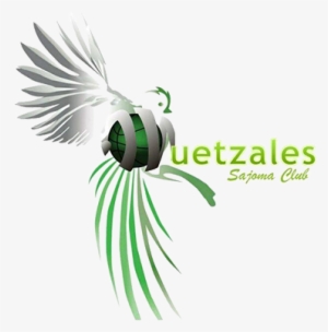 Quetzales - Quetzales Basquetbol