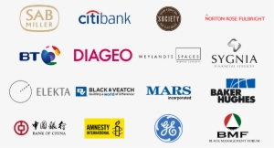Fsg Africa Customer Logos2 - Sab Miller