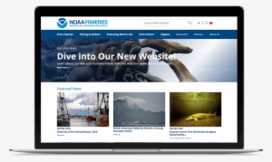 Noaa Website - Mobomo