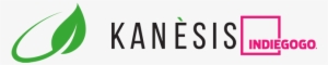 Kanèsis Is Ready To Launch Its Crowdfunding Campaign - Blog