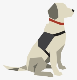 Service Dogs - Companion Dog